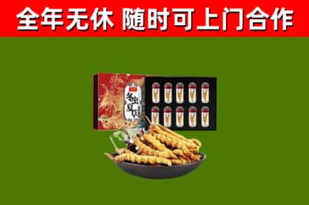 科尔沁右翼前旗回收冬虫夏草价格